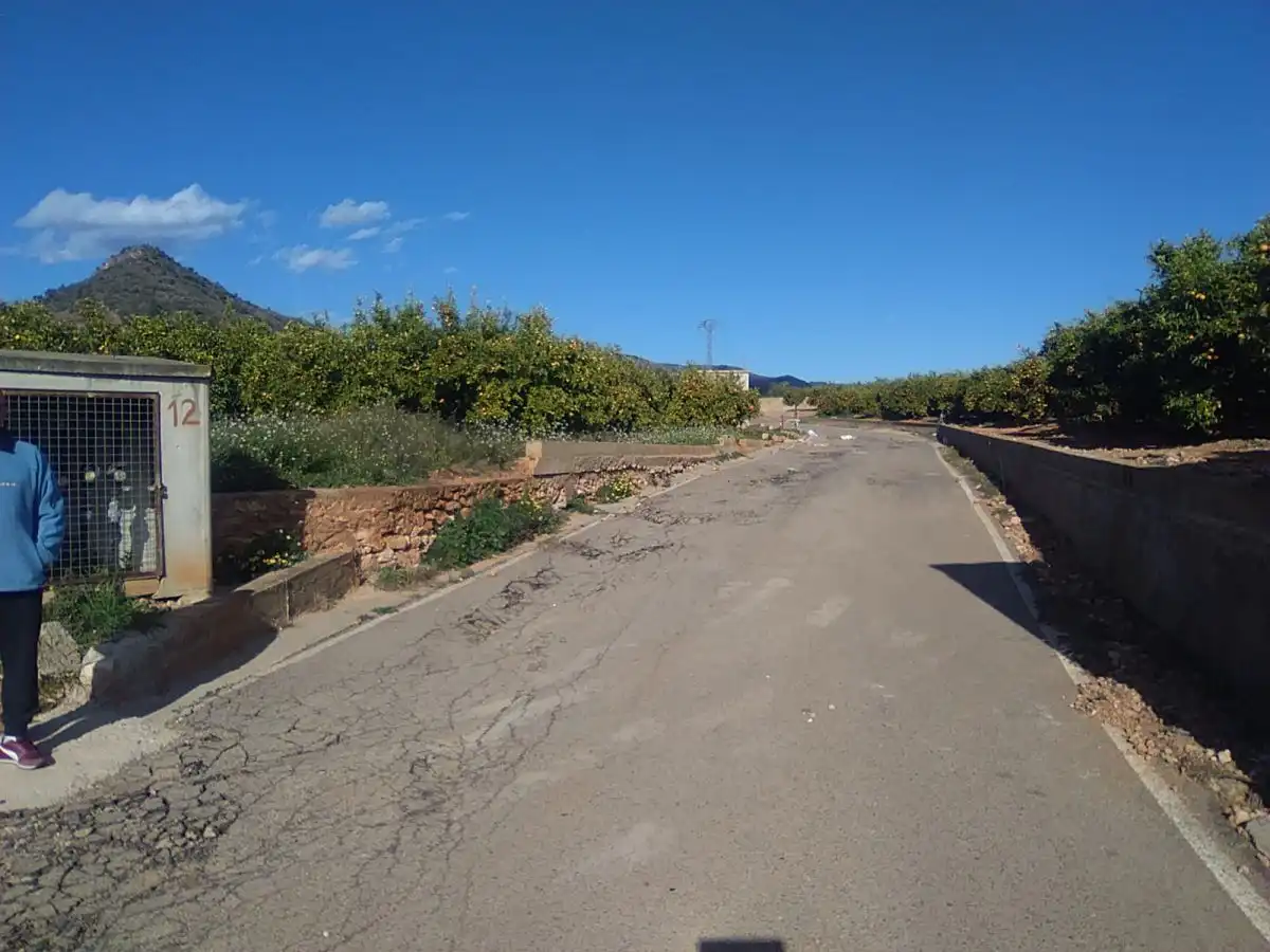 Terreno rústico en venta en Alfara de la Baronia, imagen 15