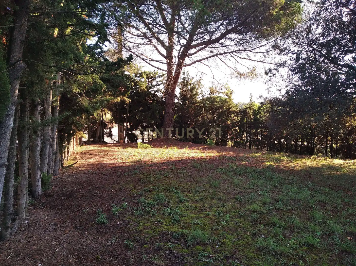 Residential land for sale in Carrer del Llinars, 6, Sant Pere de Vilamajor, Spain 6, imagen 9