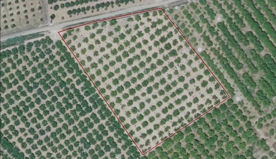 Photo 1 of Land for sale in Urbanitzacions i Pedanies Nord, Valencia