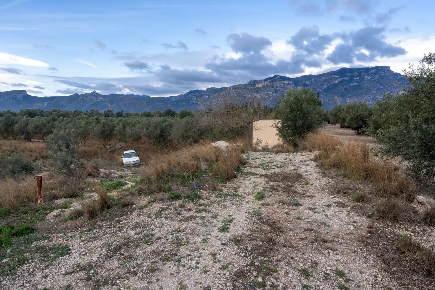 Terreno rustico in vendita a Roquetes, imagen 10