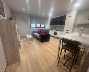 Sala d'estar de Apartament de lloguer en Lugo Capital amb Calefacció i Moblat
