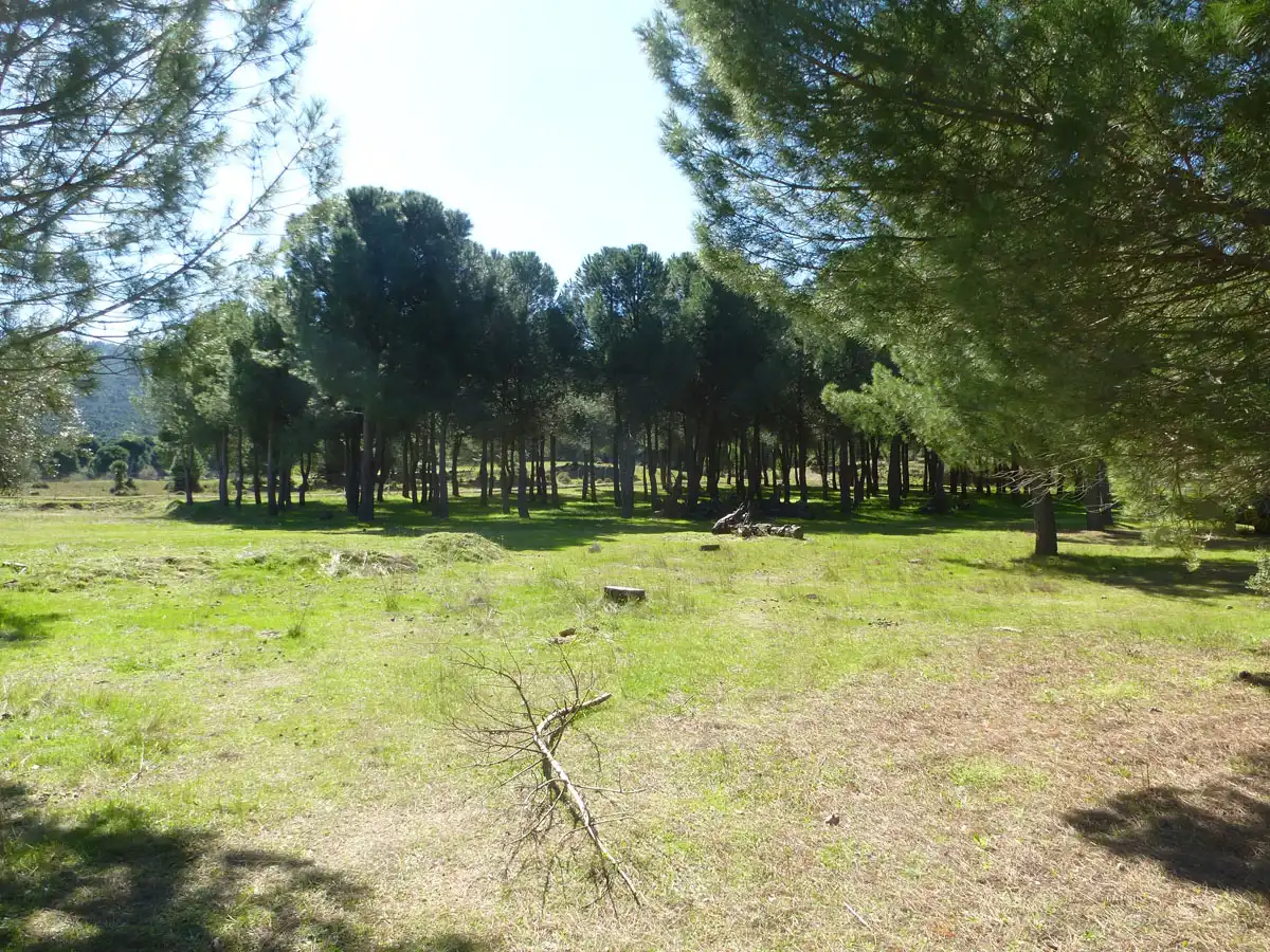 Terreno residencial en venta en Pelayos de la Presa, imagen 11
