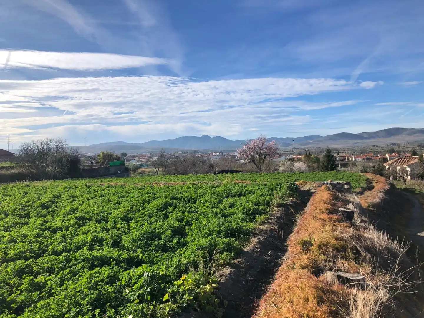 Rural land for sale in N/A, imagen 4