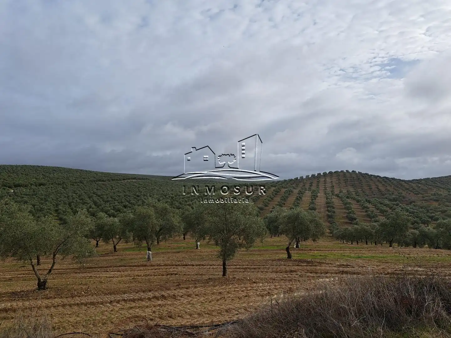 Terrenys i solars en venda a Benamejí, imagen 3