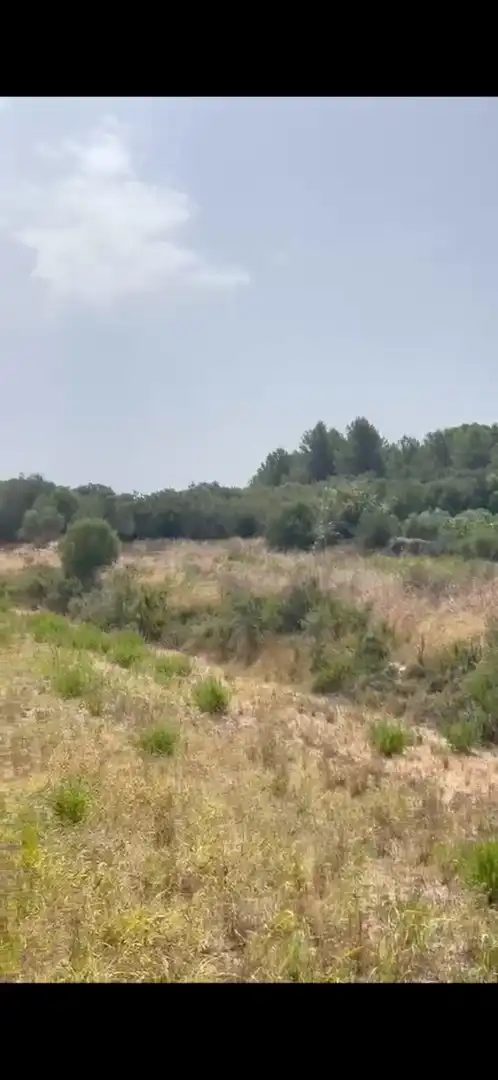Rural land for sale in N/A, imagen 3
