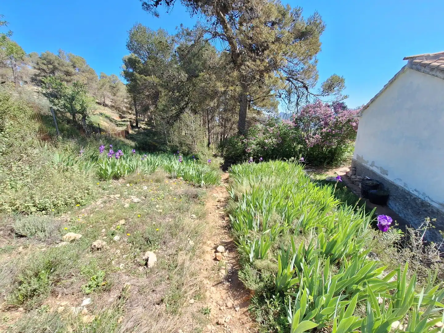 Finca rústica en venta en Alcoy / Alcoi con Trastero y Amueblado