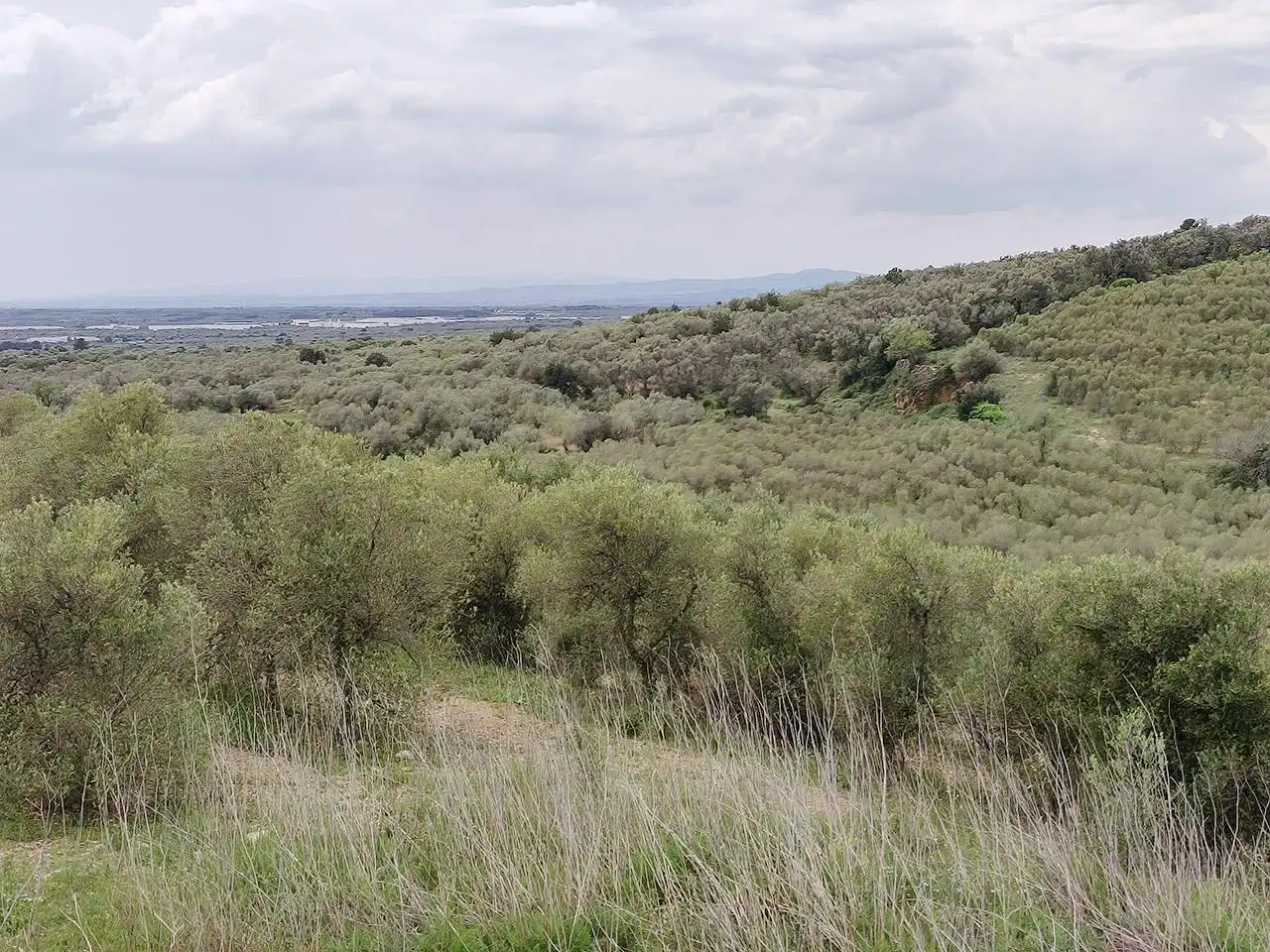 Finca rústica en venta en La Sénia con Terraza