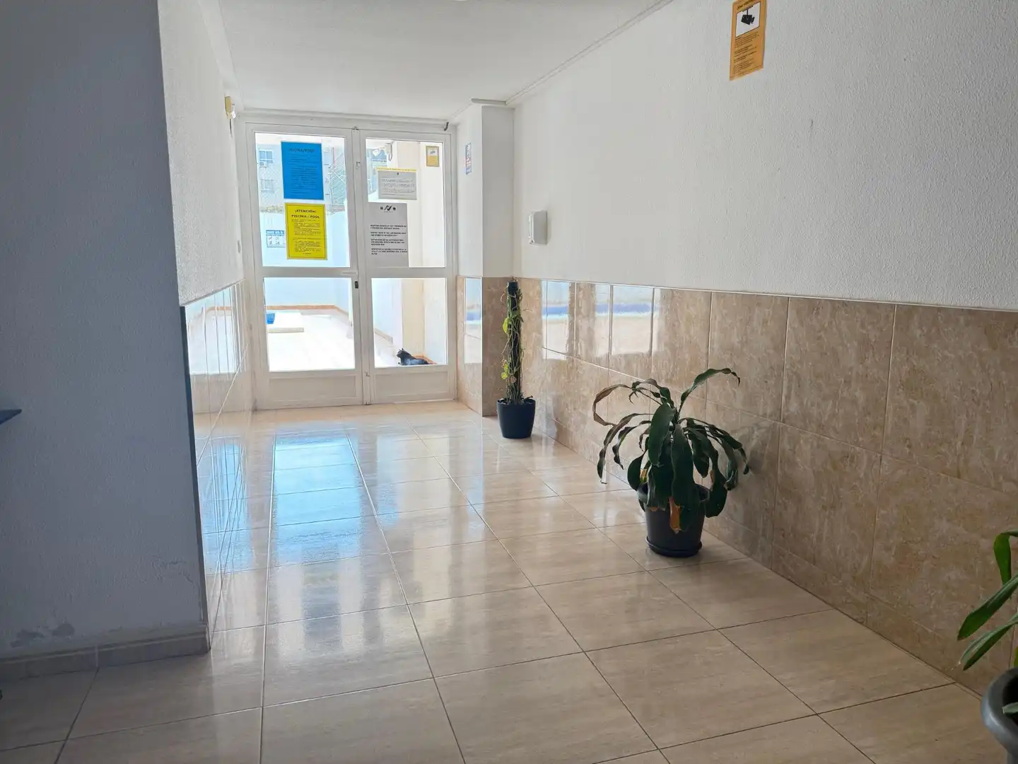 Wohnungen zur Miete in Calle Santa trinidad, El Molino