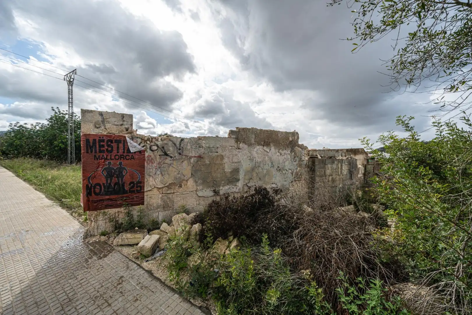 Rural land for sale in Felanitx Poble, imagen 3