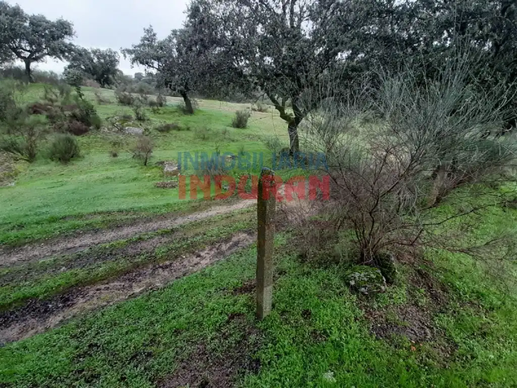 Finca rústica en venta en Millanes