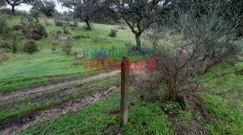 Foto 5 de Finca rústica en venta en Millanes, Cáceres