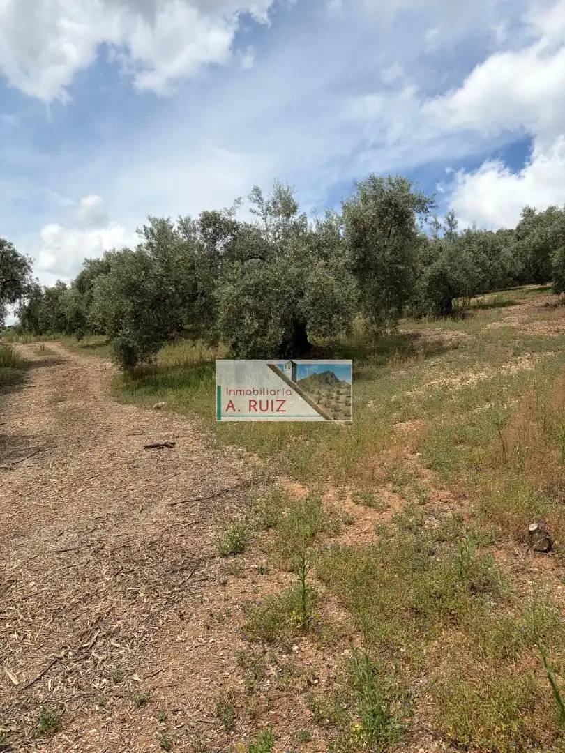 Rural land for sale in Iznájar, imagen 2