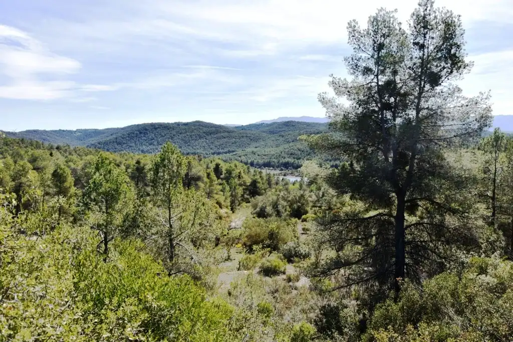 Terreni e lotti in vendita a Arens de Lledó, imagen 10