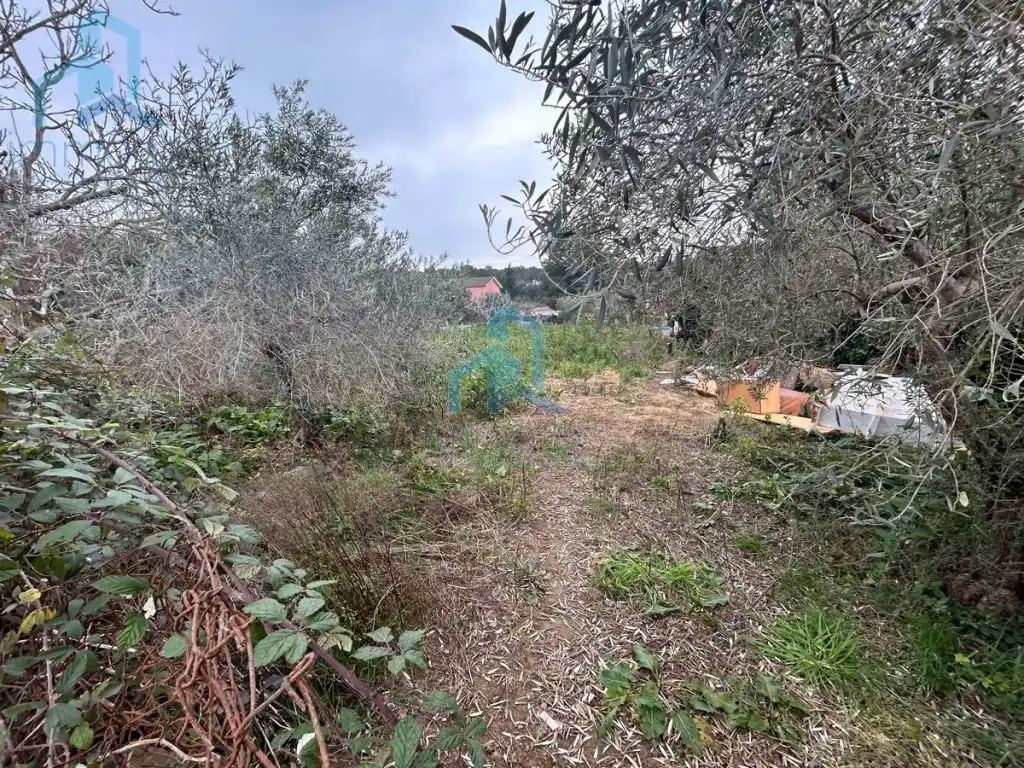 Terreno residencial en venta en Calle Mas De Toni, imagen 5