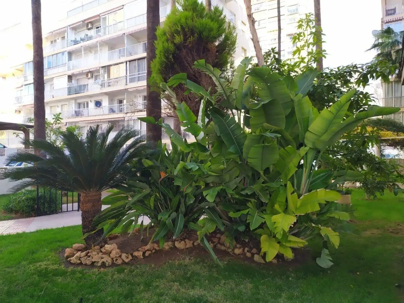 Pis amb jardí en venda a Avenida Avenida Madrid, imagen 34
