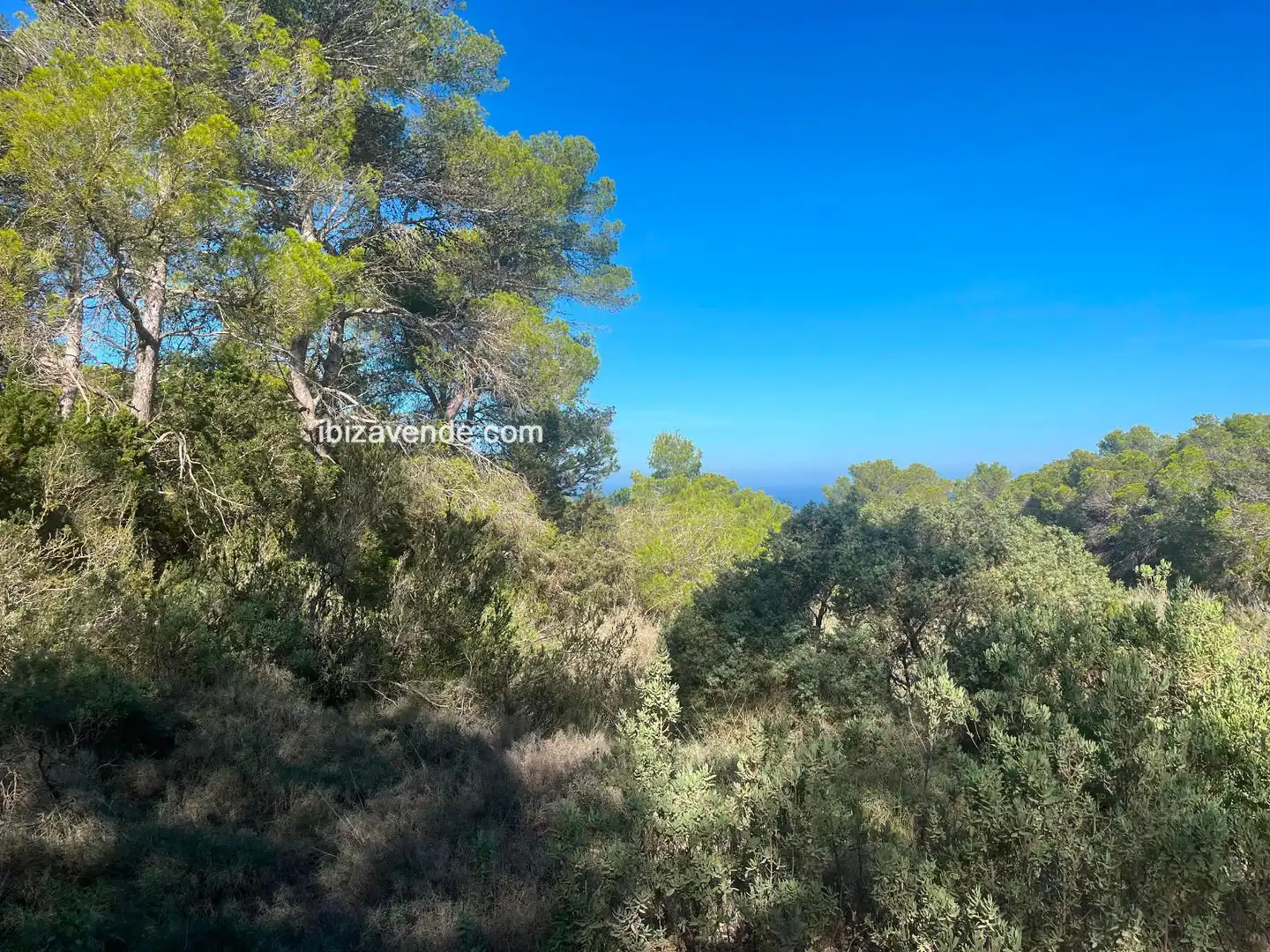 Terreno en venta en de Cala d'Hort, Es Cubells
