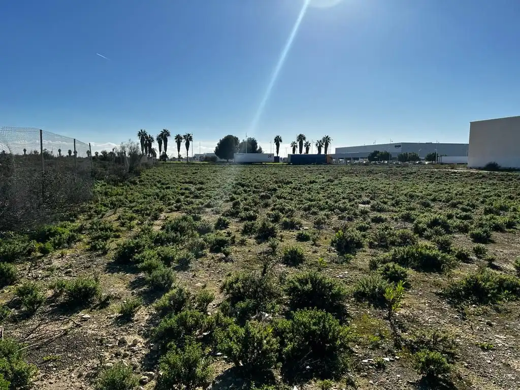 Rural land for sale in El Juncal - Vallealto