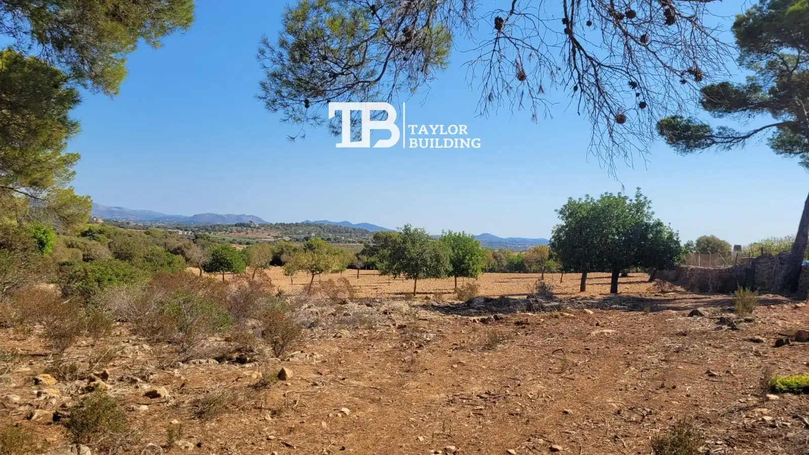 Terreno residenziale in vendita a CARRETERA MANACOR-FELANITX, imagen 11