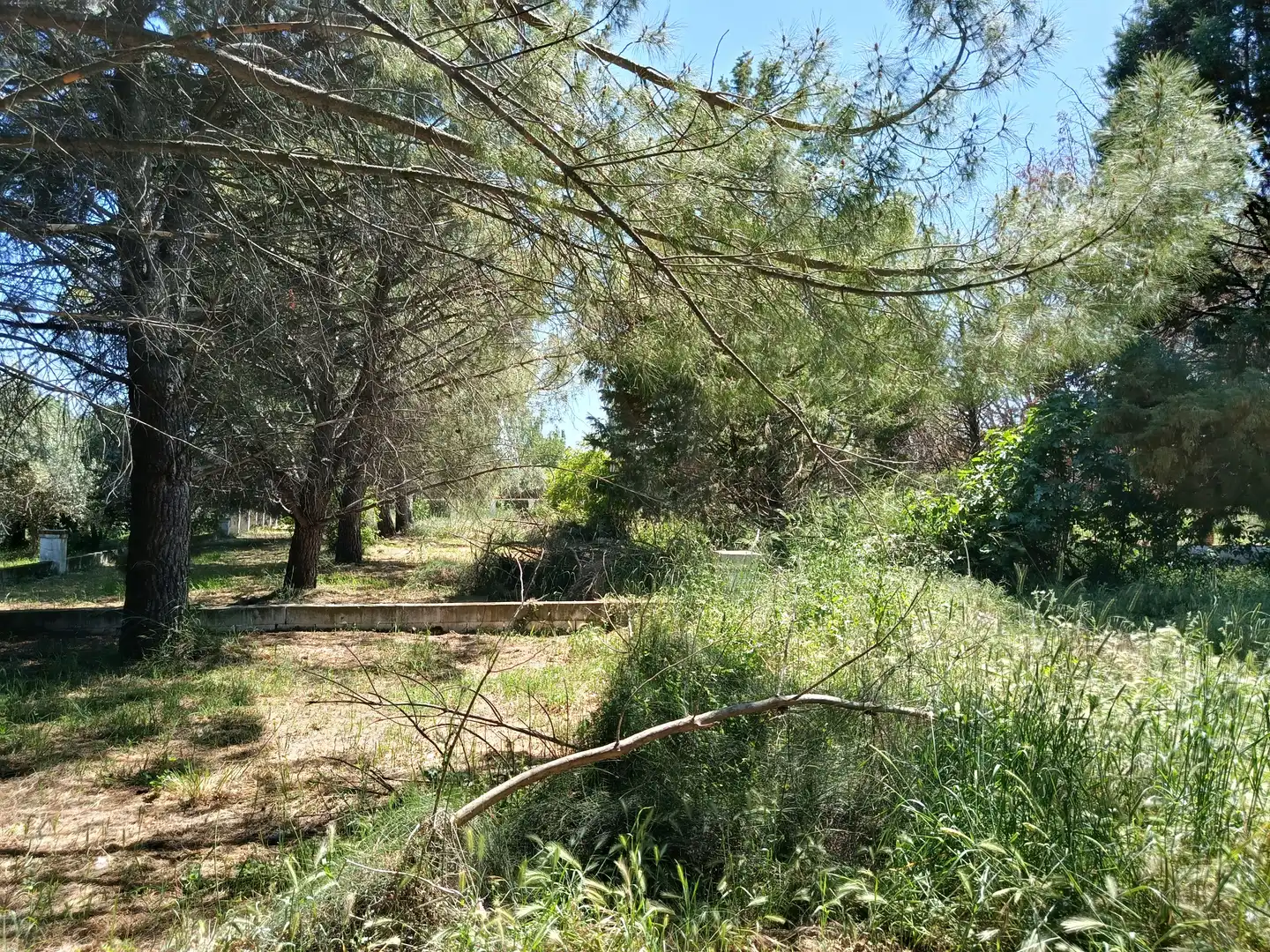 Terreny residencial en venda a Camarma de Esteruelas, imagen 37