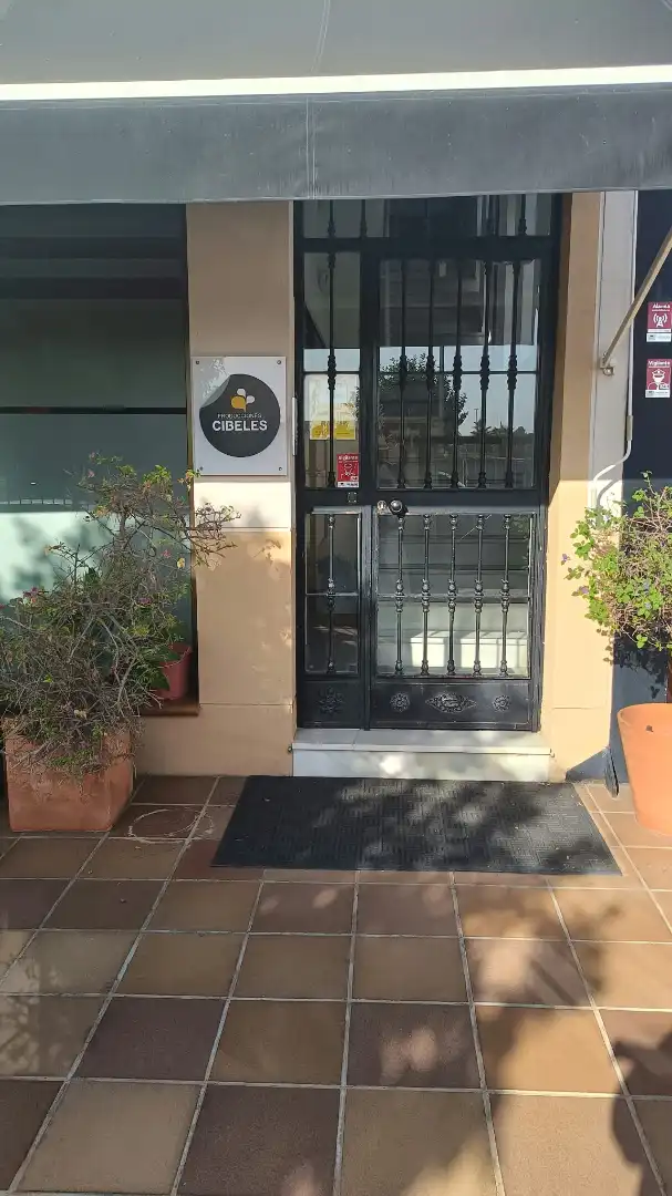 Gewerbefläche zur Miete in Calle Lonja, imagen 5