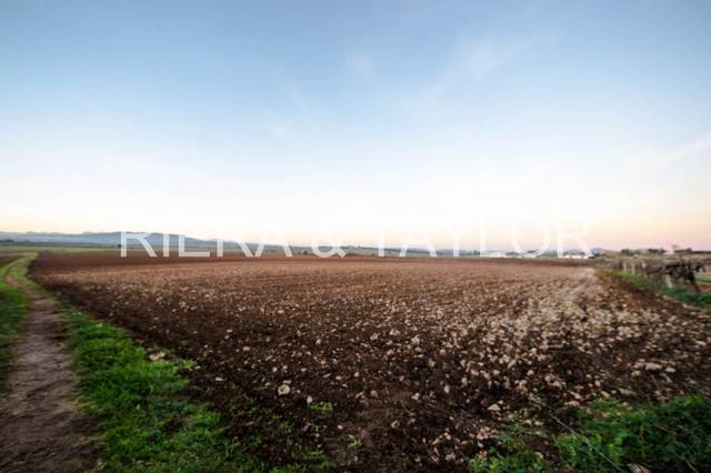 Terreno en Venta en Vilafranca de Bonany