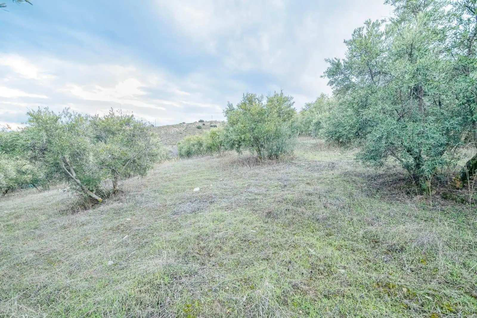 Lands and plots for sale in Autovia Pinos Genil, imagen 26