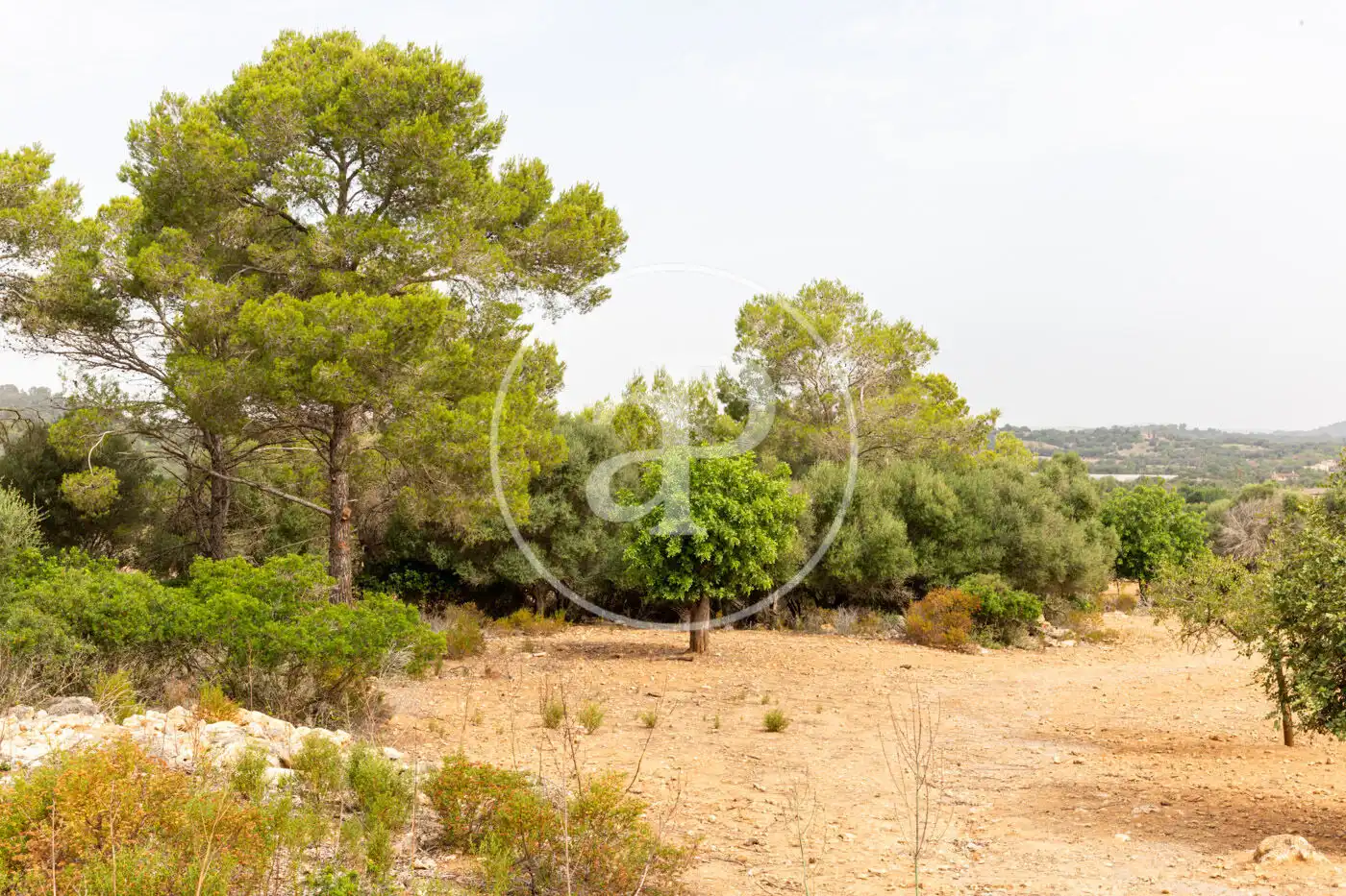 Terreno residenziale in vendita a Cami de.'s Presos, imagen 30