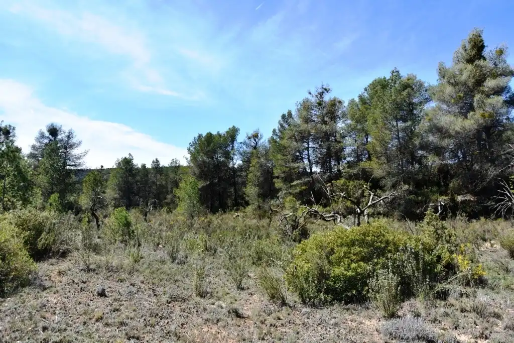 Terreni e lotti in vendita a Arens de Lledó, imagen 11