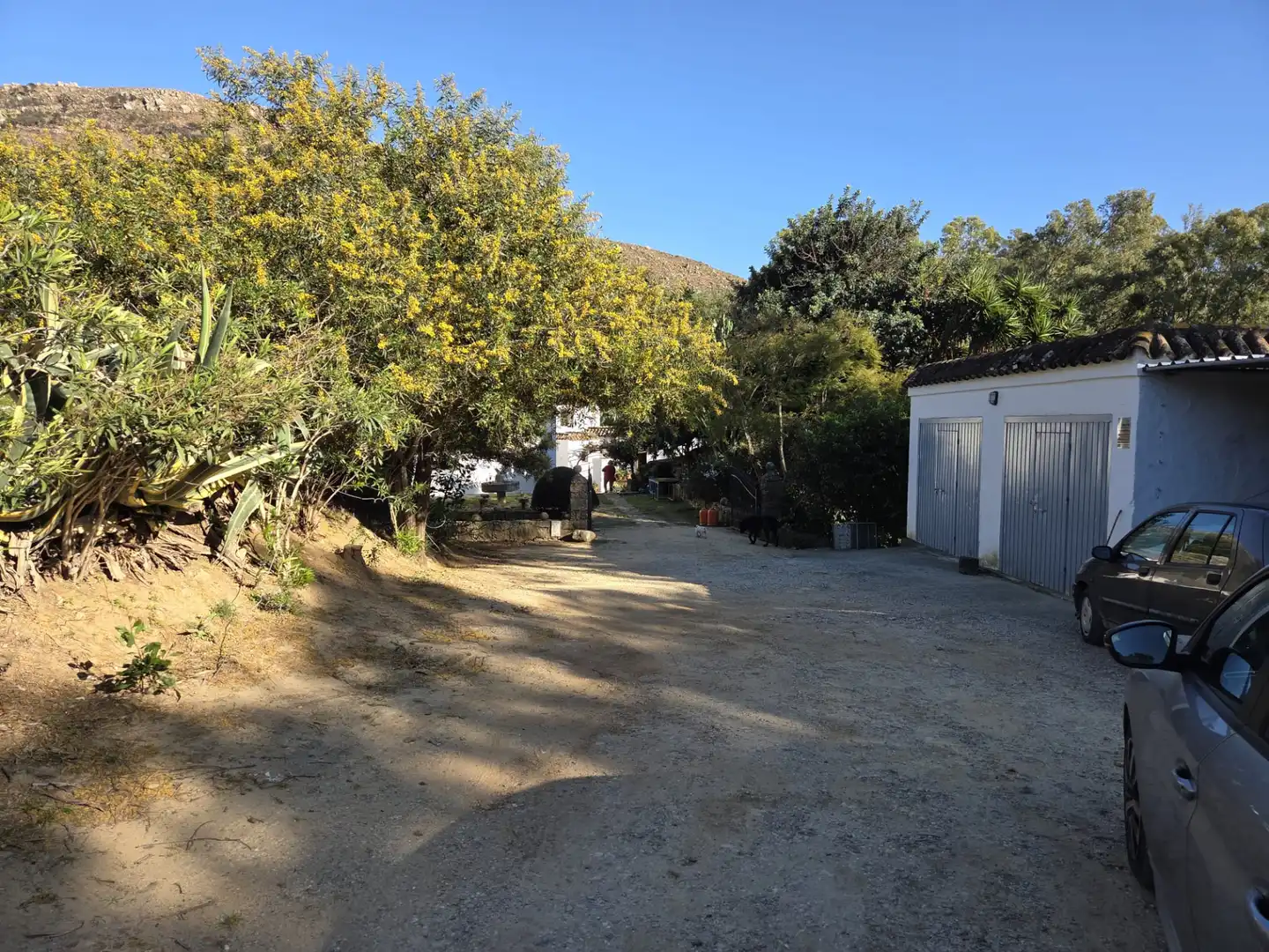 Exterior view of Country homes for sale in Tarifa ciudad