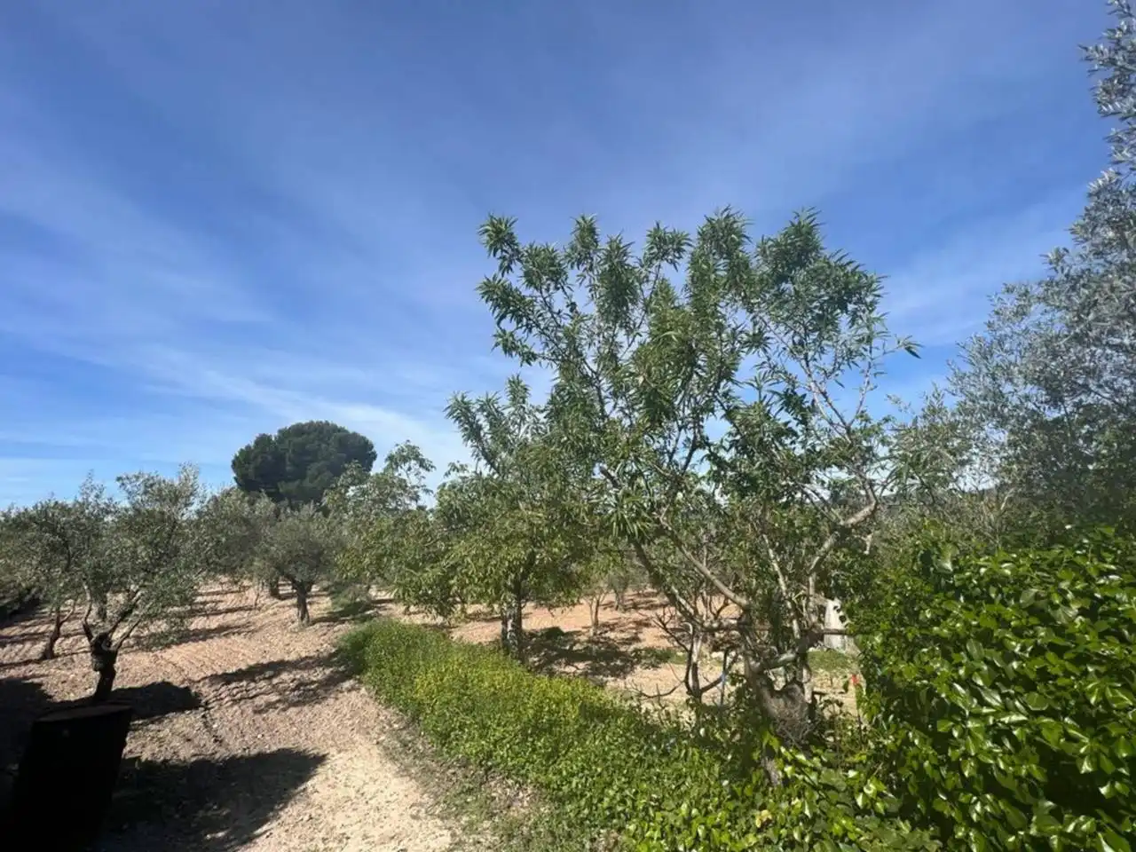 Chalet con jardín en venta en Calle Poligono, imagen 11