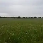 Rural land for sale in Topas, imagen 22