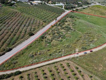Terreny rústic en venda a Pista de la Jabonera, Pizarra, Spain