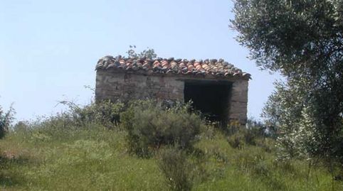 Immagine 2 dell'annuncio