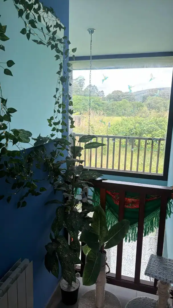 Balcony of Houses for sale in Arnuero  with Heating, Private garden and Terrace