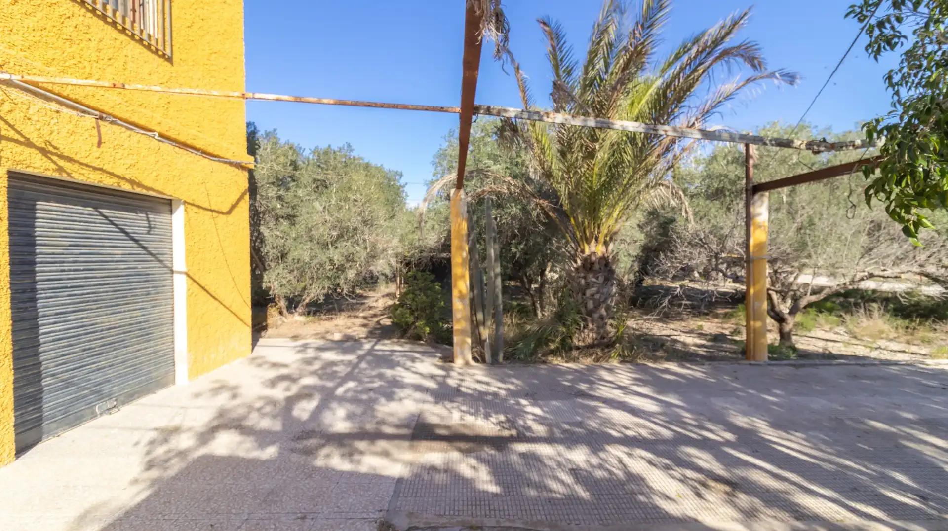 Jardín de Casa o chalet en venta en Elche / Elx con Trastero y Piscina