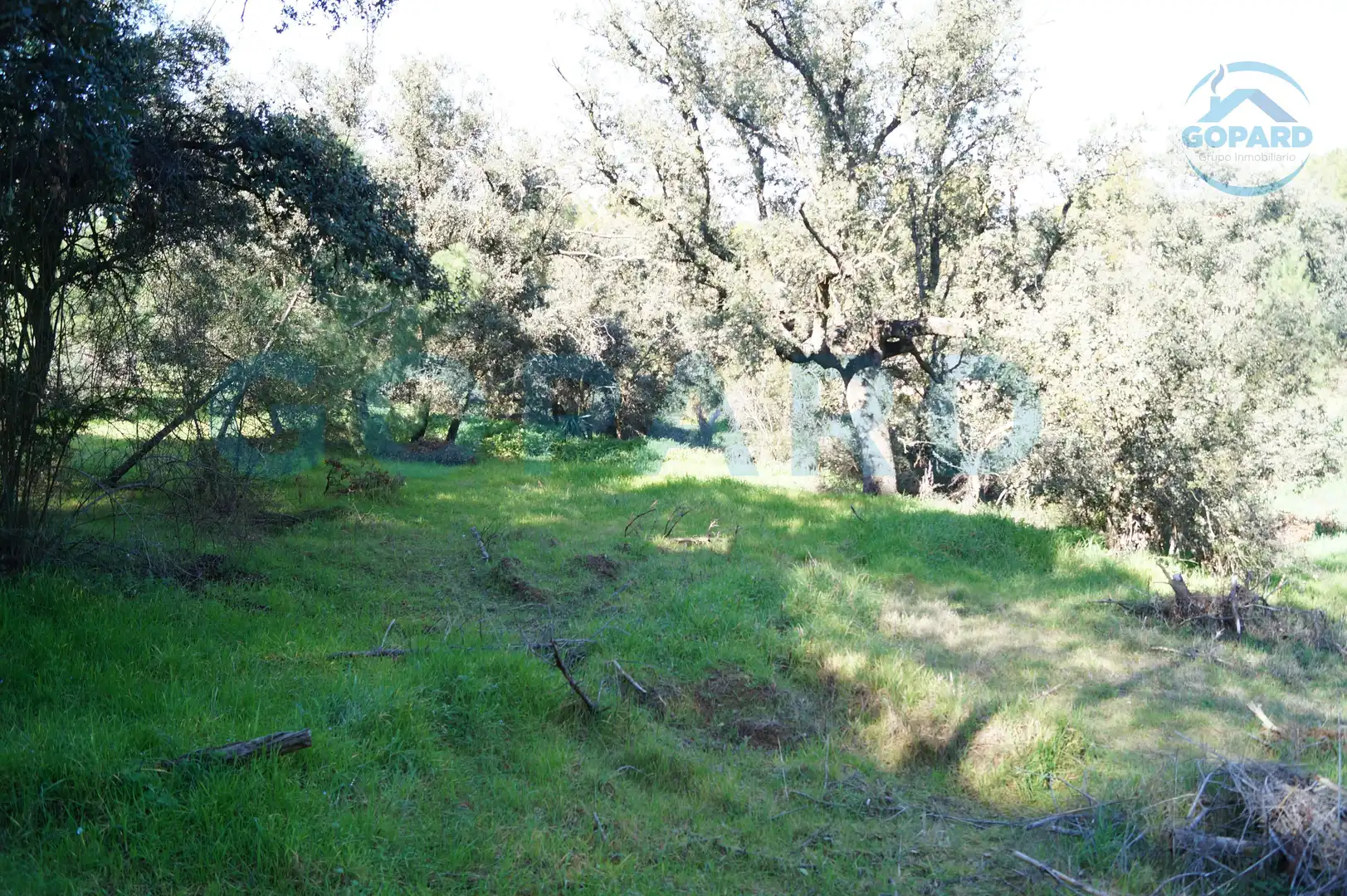 Residencial en venta en El Bosque