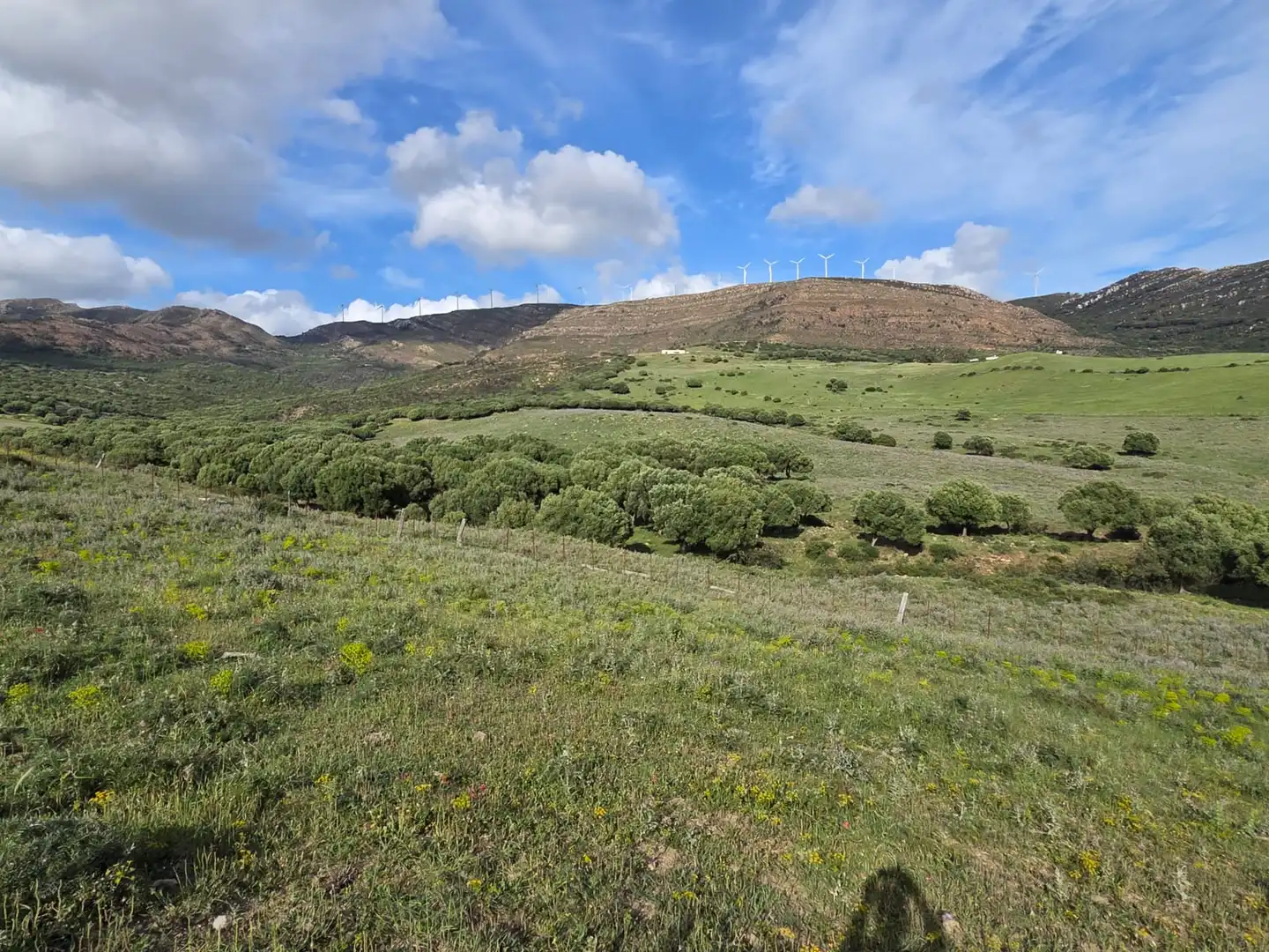 Vista exterior de Terreno en venta en Tarifa