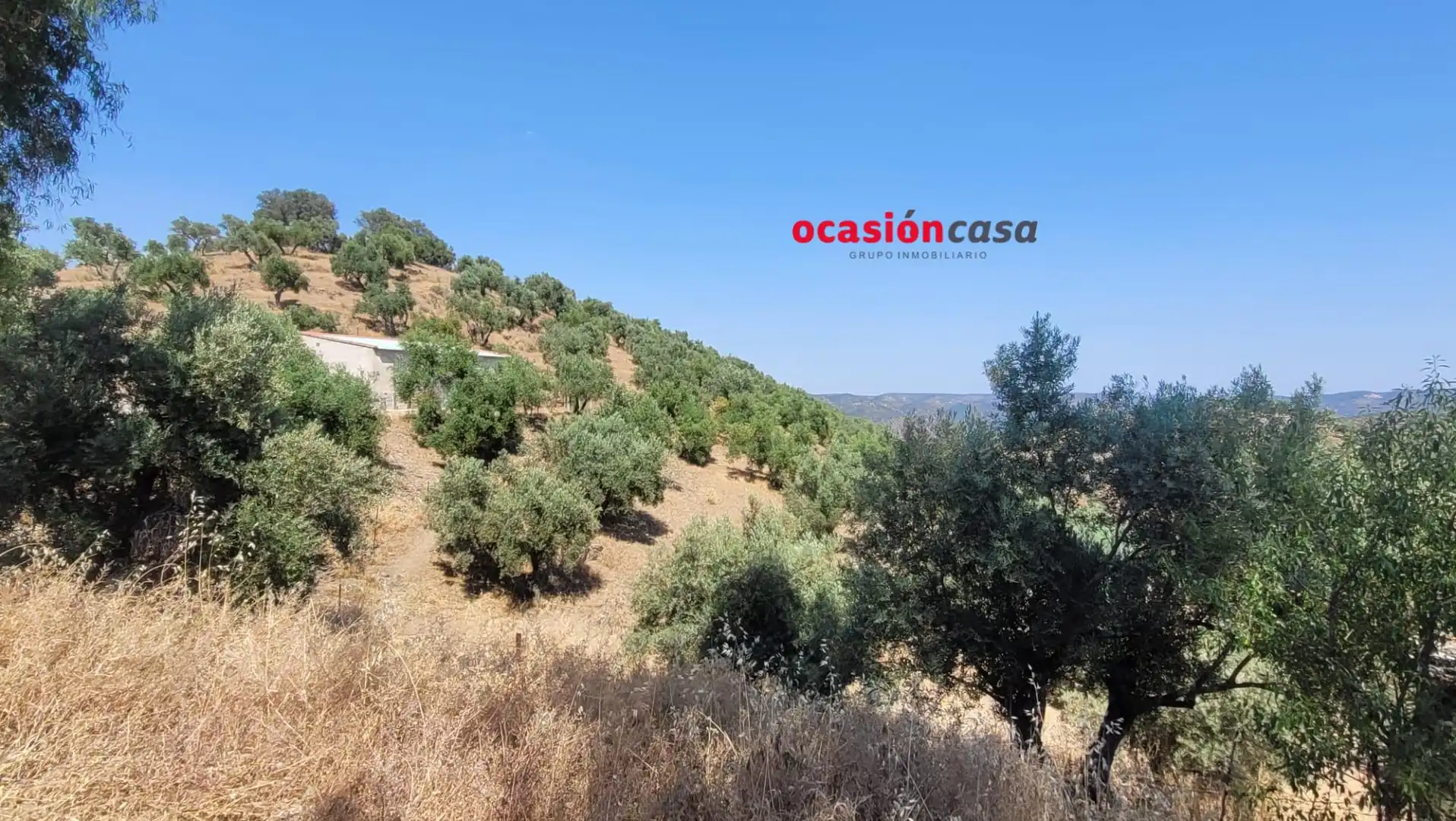 Finca rústica en venda en Pozoblanco amb Traster