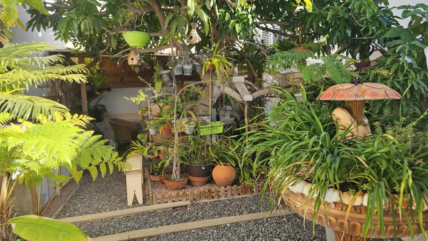 Jardí de Casa o xalet en venda en Santa Lucía de Tirajana amb Jardí privat, Terrassa i Piscina