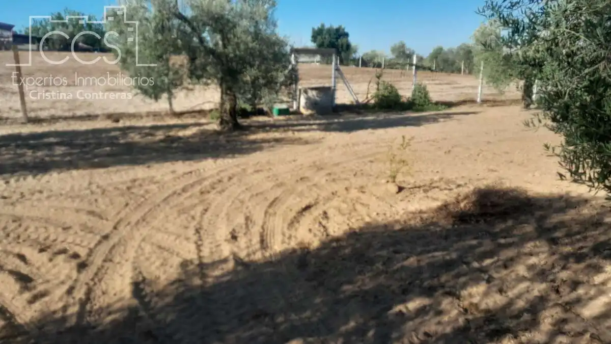 Terreni e lotti in vendita a Almonte ciudad, imagen 9