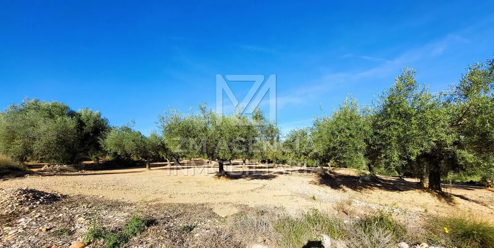 Casa rústica en venta en Traiguera, imagen 4