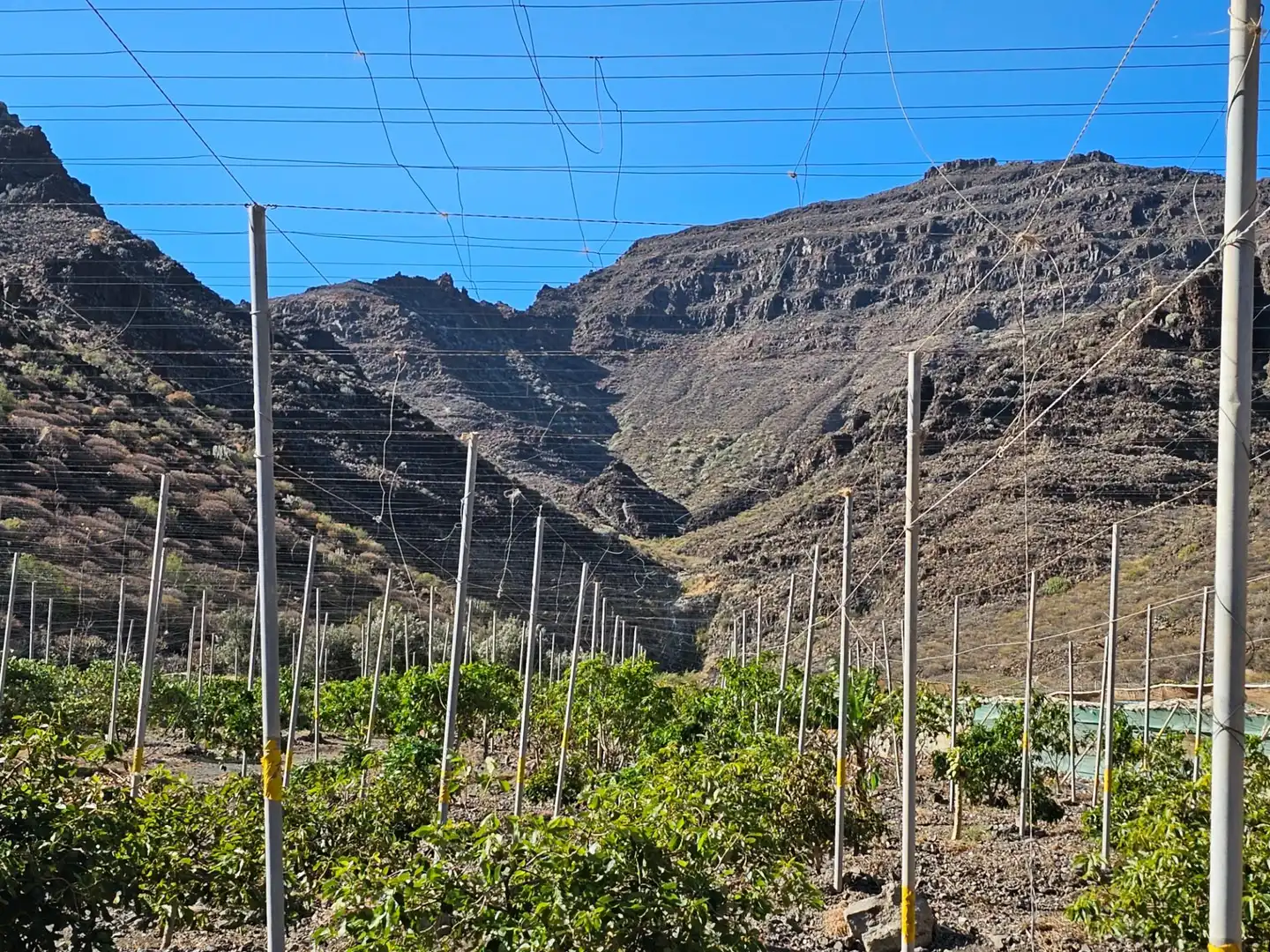 Vista exterior de Finca rústica en venta en La Aldea de San Nicolás  con Jardín privado, Terraza y Trastero