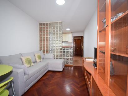 Sala d'estar de Apartament en venda en Miño amb Terrassa, Traster i Moblat