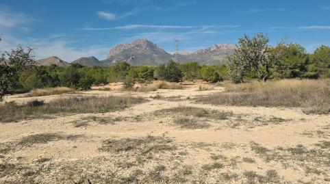 Foto 5 de Terreny en venda a Juzgados - Plaza de Toros, Alicante