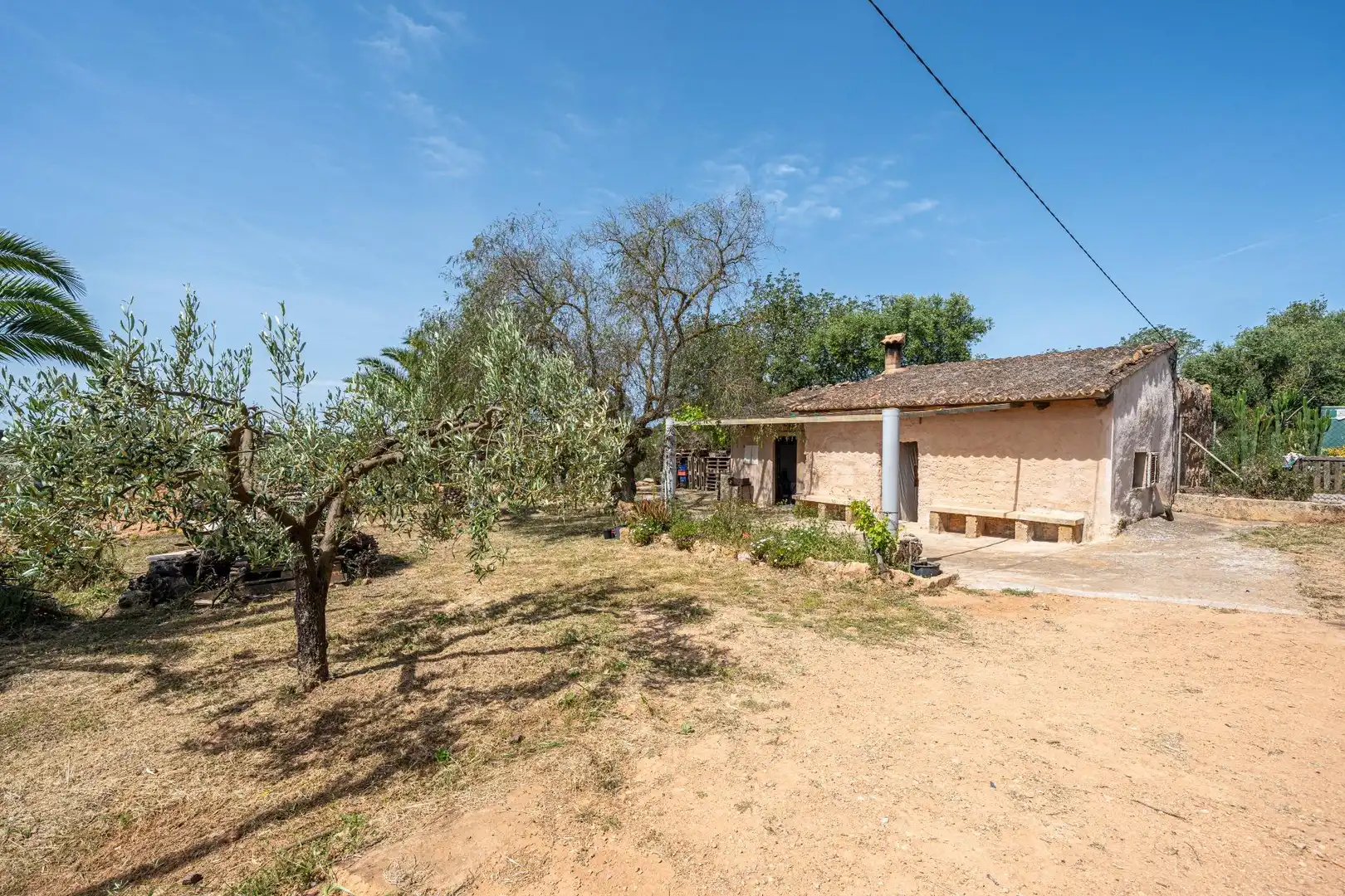 Terreno rustico in vendita a Llucmajor pueblo, imagen 18