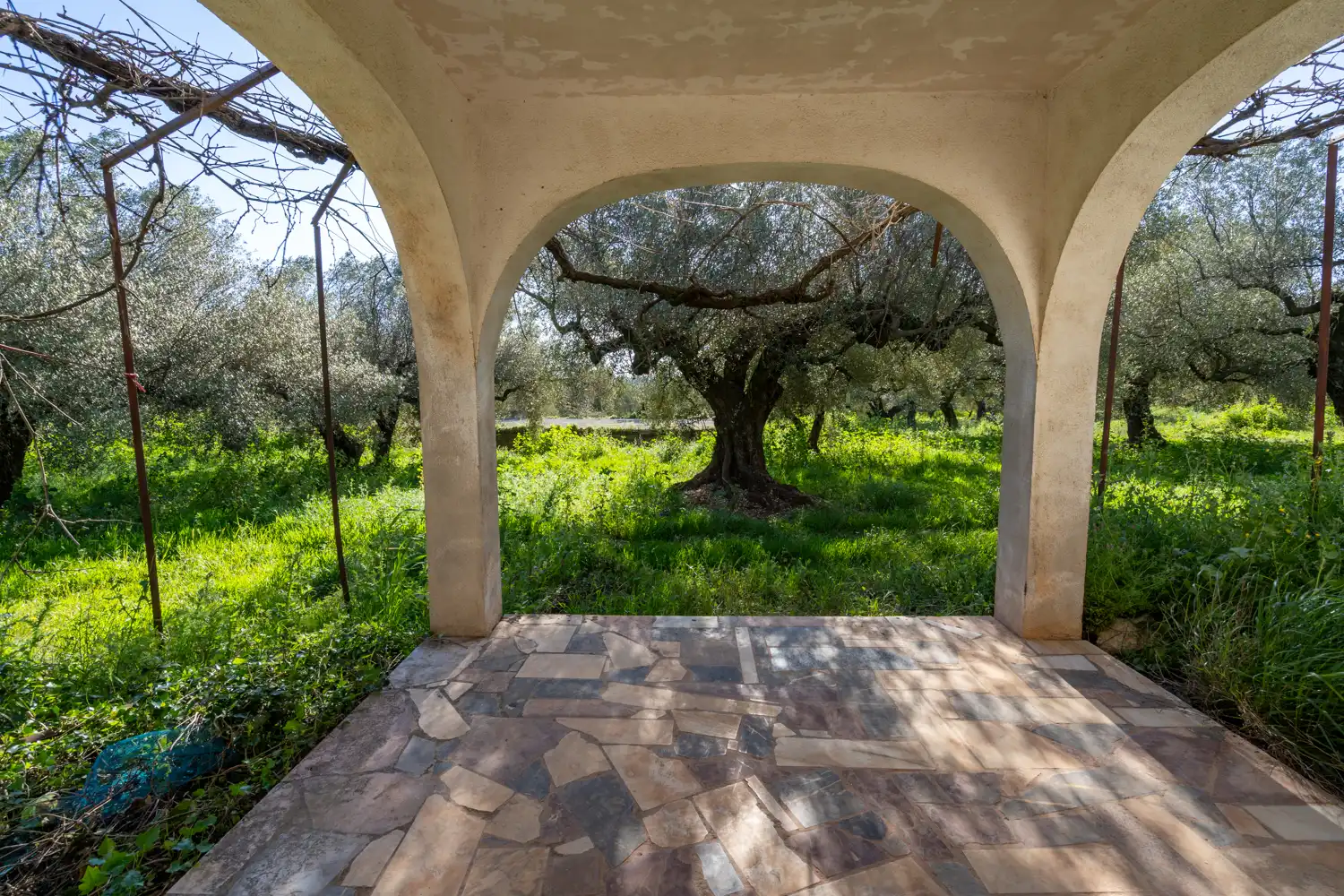 Jardín de Terreno en venta en Rossell, Castellón