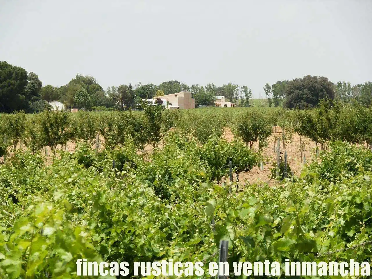 Terreni e lotti in vendita a Villarrobledo, imagen 2