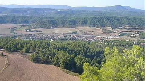TERRENY A ELS PINYARETS, CASTELLOLÍ