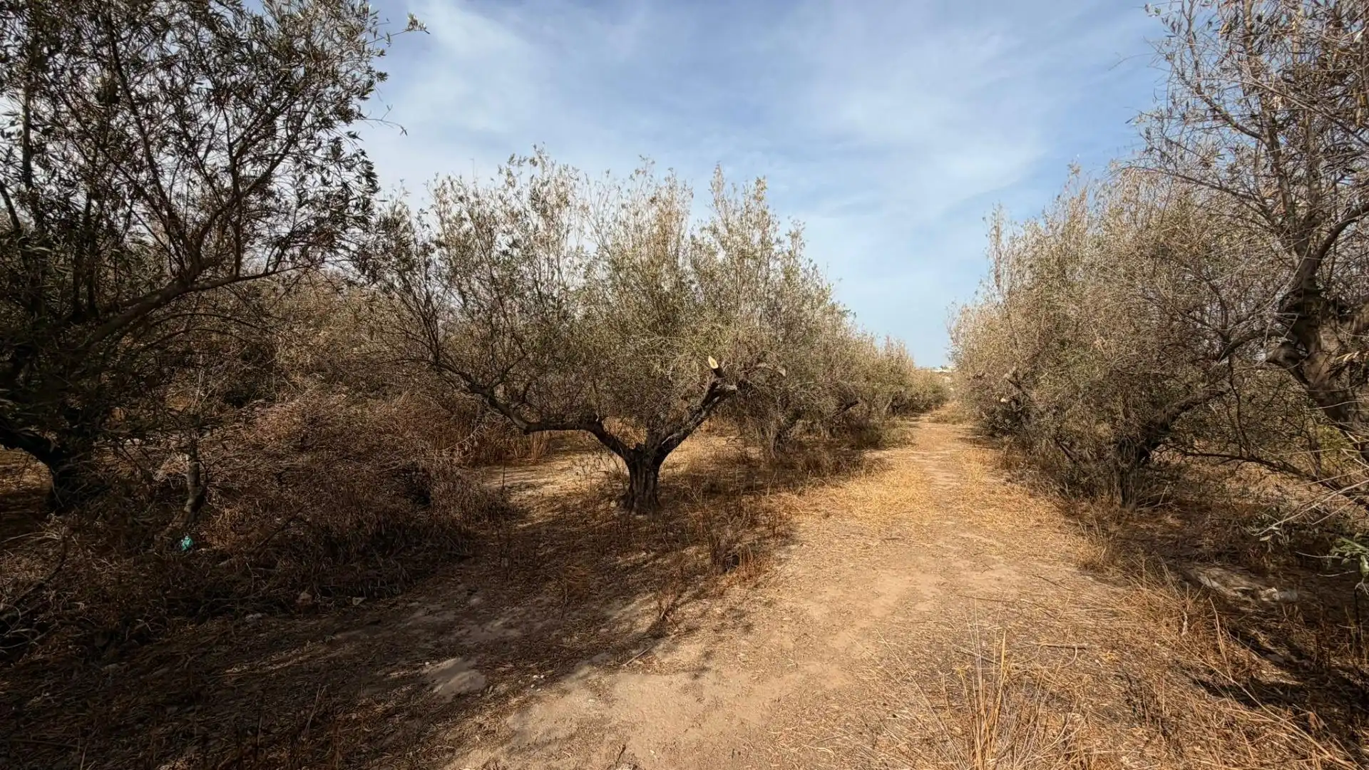 Terreny rústic en venda a Huércal de Almería 5, imagen 3