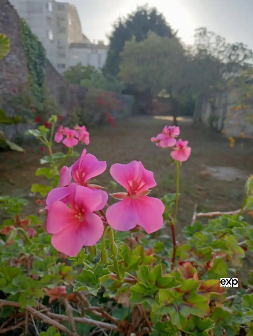 Haus mit Terrasse zum Verkauf in RAMON GONZALEZ, imagen 60